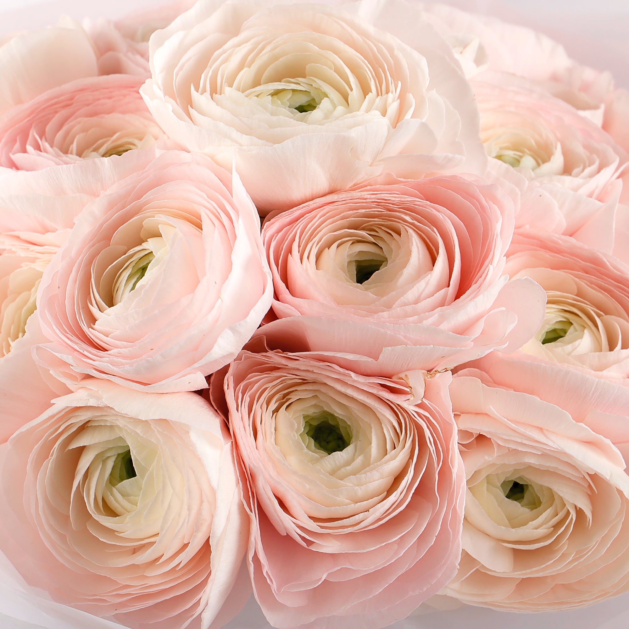 Luxury Anniversary Flowers