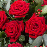 Rose Casket Spray