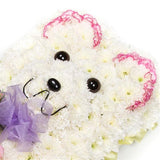 Teddy Tribute