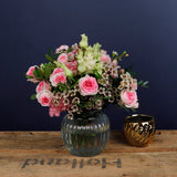 Blush Beauty