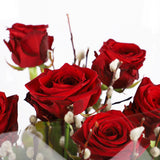 Crimson Love