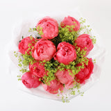 Coral Peonies