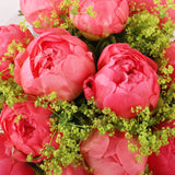 Coral Peonies