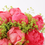 Coral Peonies