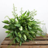 White Parrot Tulip