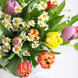 Mixed Tulip Bunch