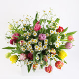 Mixed Tulip Bunch