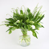 White Parrot Tulip