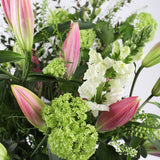 Pink Scented Lilies