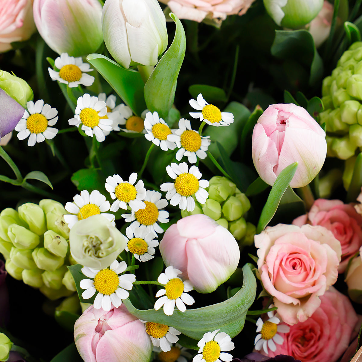 Florists Choice