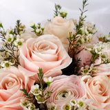 Blossom Symphony