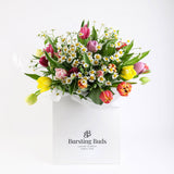 Mixed Tulip Bunch
