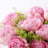 Pale Pink Peony