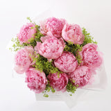 Pale Pink Peony