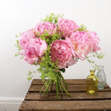 Pale Pink Peony