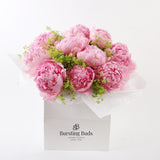 Pale Pink Peony