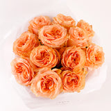 Peach Majesty