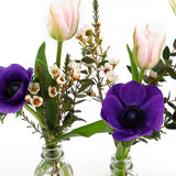Spring Milk Bottles