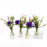 Spring Milk Bottles