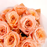 Whispering Peach Elegance