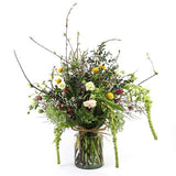 Spring Blooms