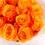 Golden Glow Elegance