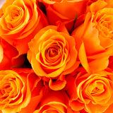 Golden Glow Elegance
