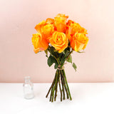 Golden Glow Elegance