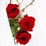 I Love You Roses