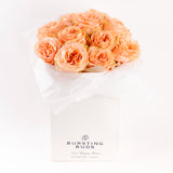 Peach Majesty