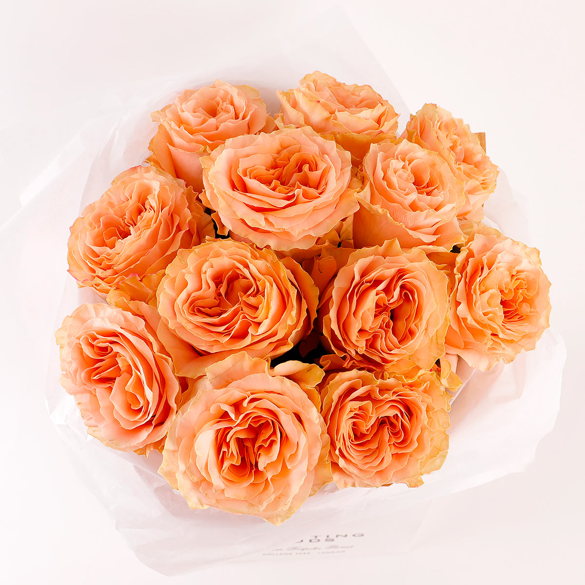 Peach Majesty
