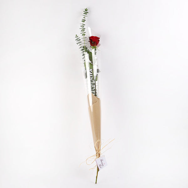The One Rose – Bursting Buds