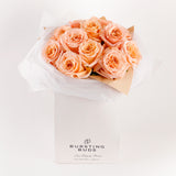 Whispering Peach Elegance