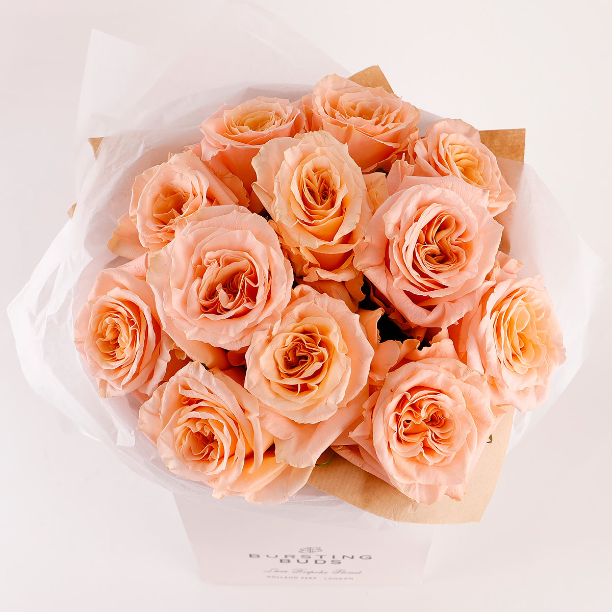 Whispering Peach Elegance