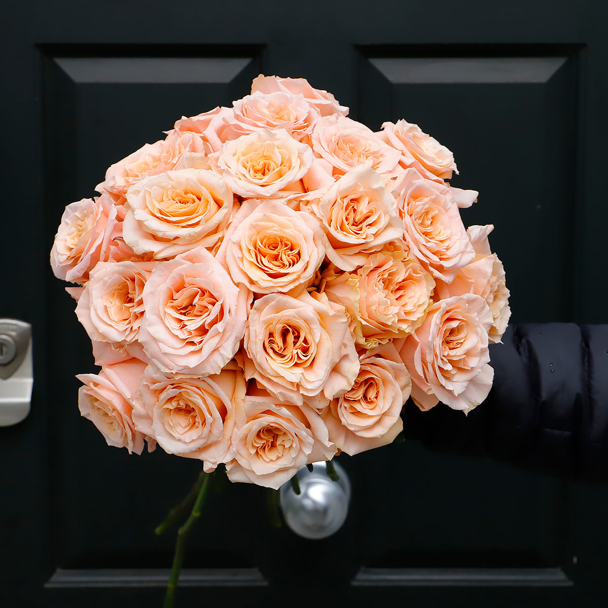 Whispering Peach Elegance